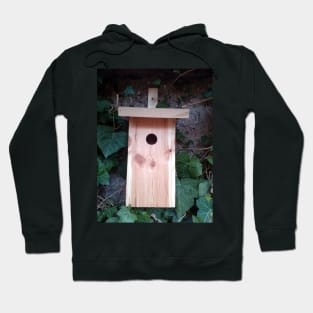 The nest box - luxury for the garden bird Hoodie